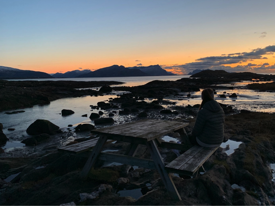 «I tillegg til jobben på sentrallaboratoriet ønsket jeg å flytte til Bodø blant annet på grunn av den fantastiske naturen som omgir byen. Bodø er en spennende og urban by i utvikling, som samtidig har kort vei til det meste av turmuligheter»                                                                                                                                                                                Åse Kristin Hopen, bioingeniør